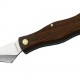 Cuchillo de setas con Holzheft 20,5cm 2